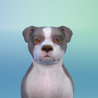Ziggy McLiggy