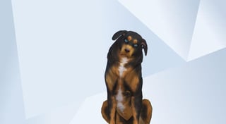 Krystoff Renrut - 03.jpg