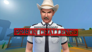 The Sim Supply Prison Challenge