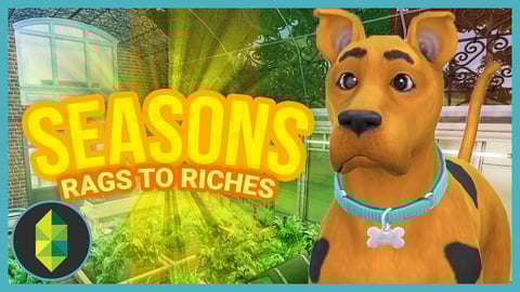 SCOOBY & RENOVATIONS - Part 8 - Rags to Riches (Sims 4 Seasons) thumbnail
