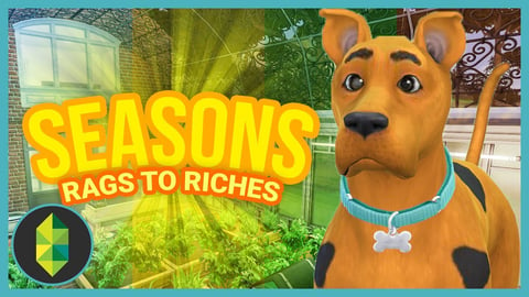 SCOOBY & RENOVATIONS - Part 8 - Rags to Riches (Sims 4 Seasons) thumbnail