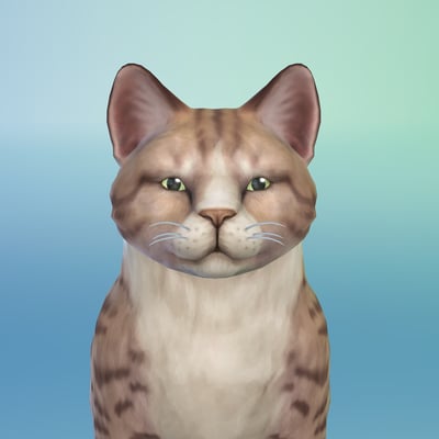 Chester Bigwallet