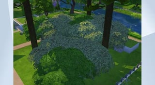 Treetop Hoods (WIP 1) - L4TyqWPXv.jpg