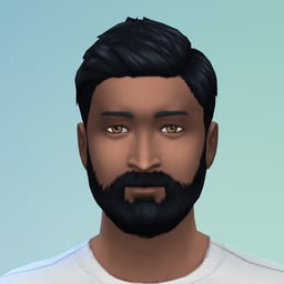 Sir Bigwallet