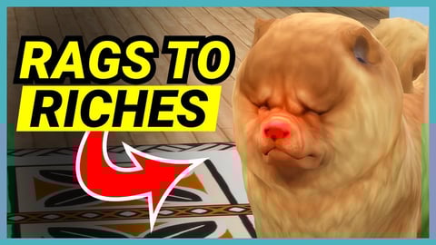 The red nosed Chow Chow - 🌴 Rags to Riches (Part 19) thumbnail
