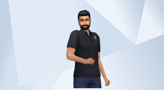 TheSimSupply SelfSim