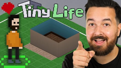 Let's play Tiny Life!