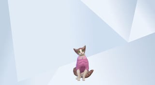 Vivienne Renrut - 8rM6Fbqnx.jpg