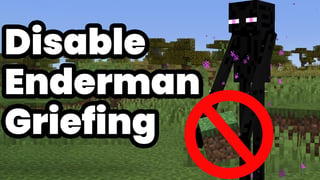 Disable Enderman Griefing