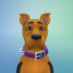 Scooby Doo