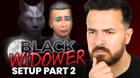 Final setup for the Black Widower Sandalwood Let's Play!