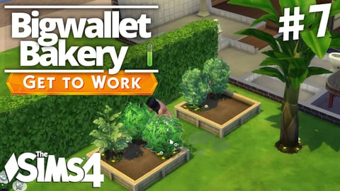 The Sims 4 Get To Work - Bigwallet Bakery - Part 7 thumbnail