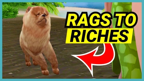 Why is there a dog in my game?! - 🌴 Rags to Riches (Part 9) thumbnail