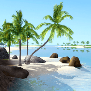 Sunlit Tides